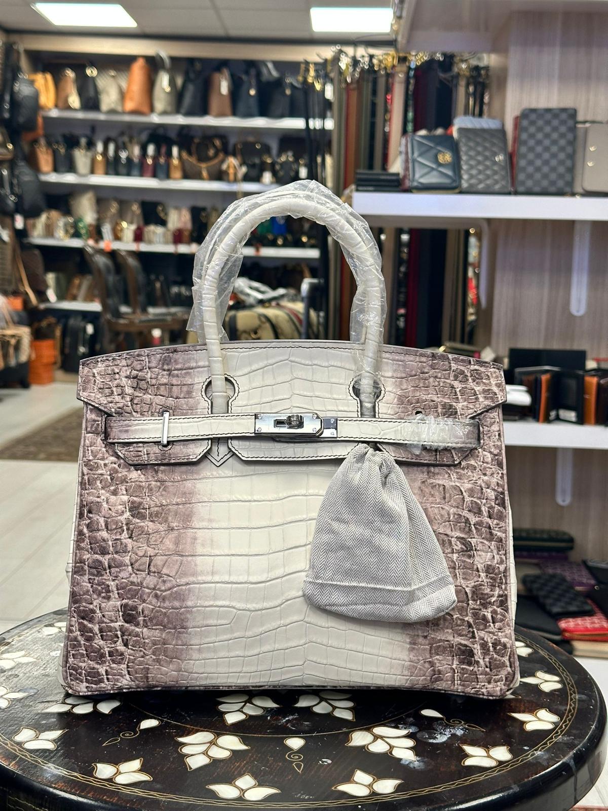 Hermes Crocodile