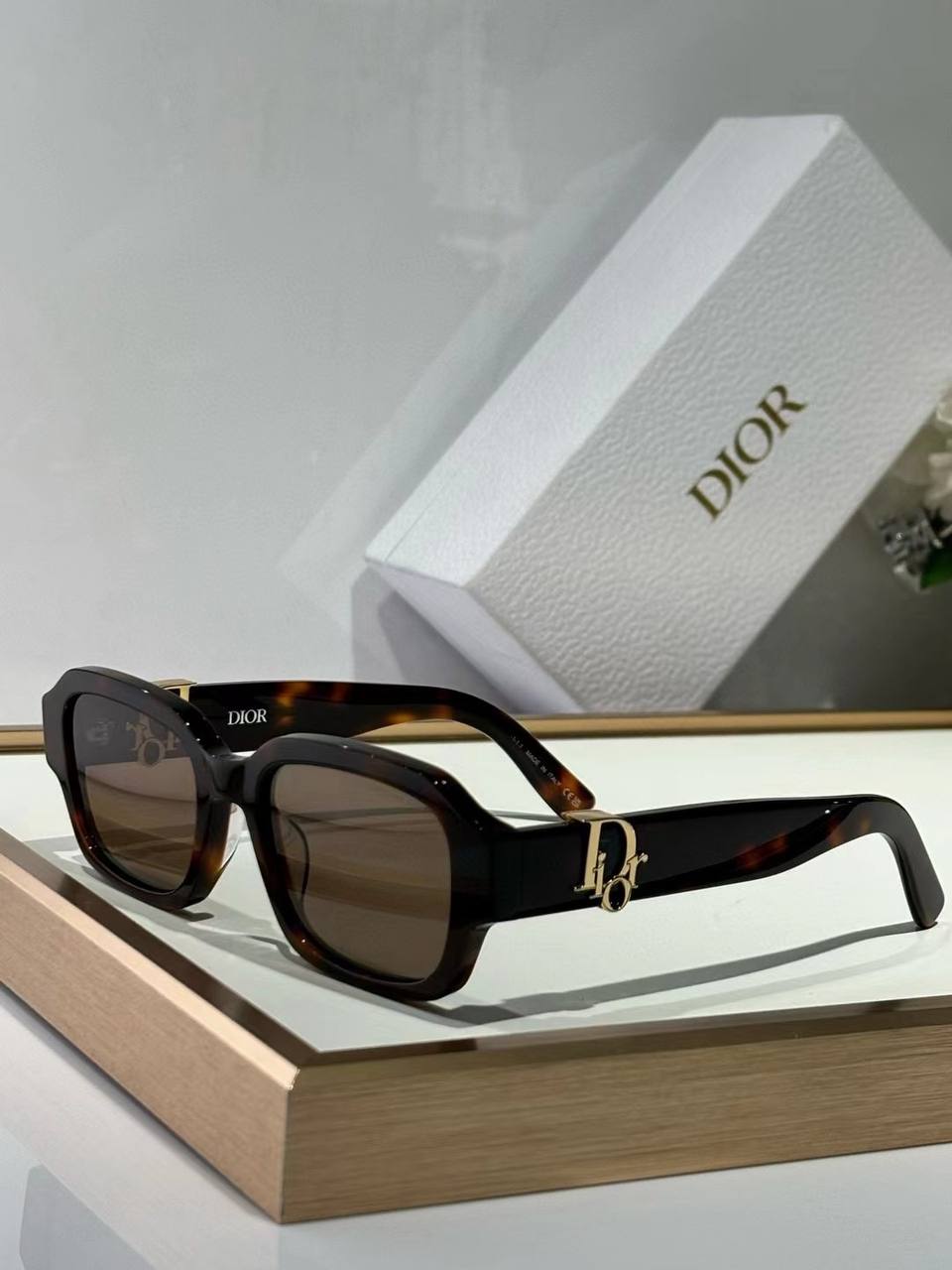Dior E1113