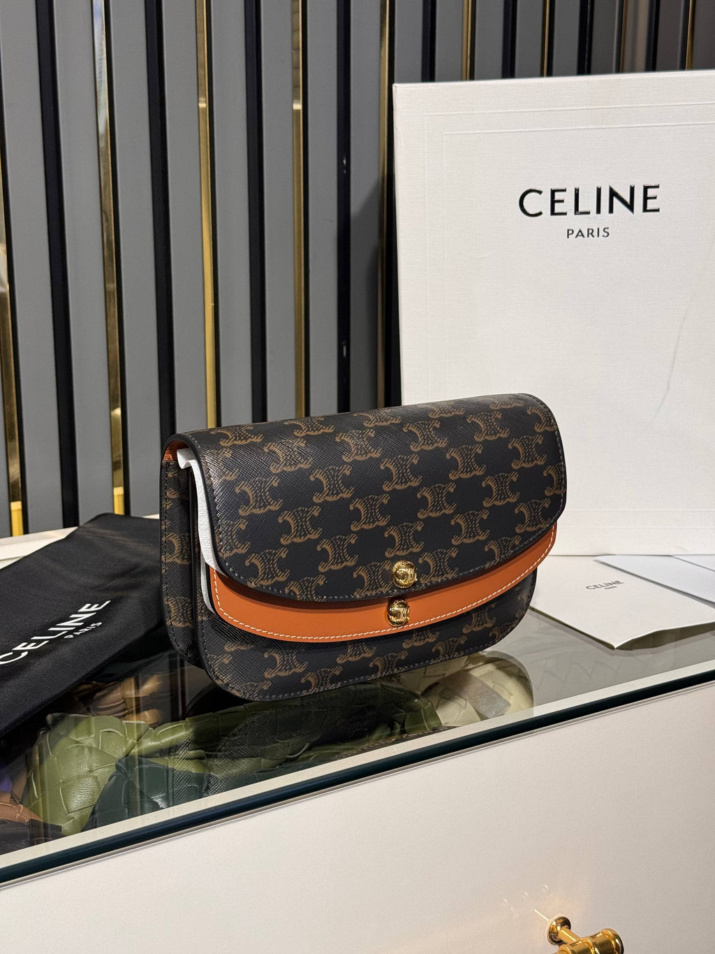 Celine 2569