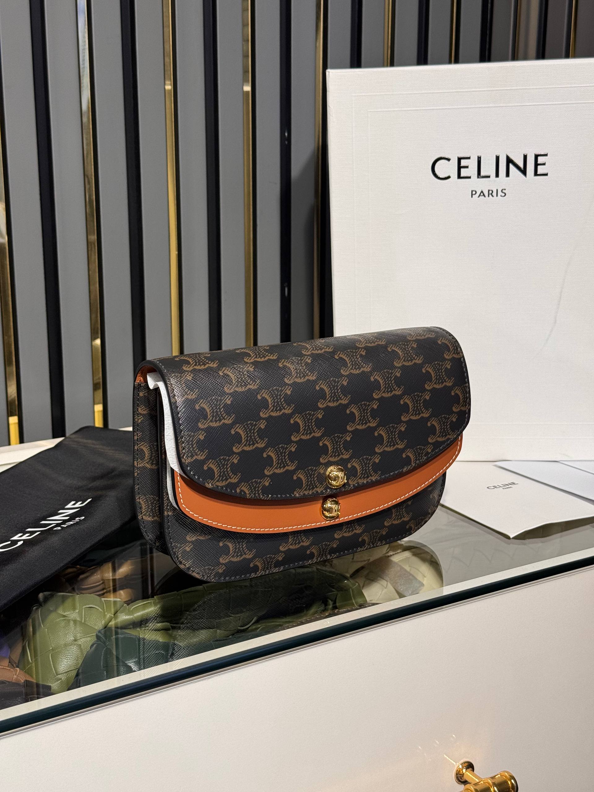 Celine 2569