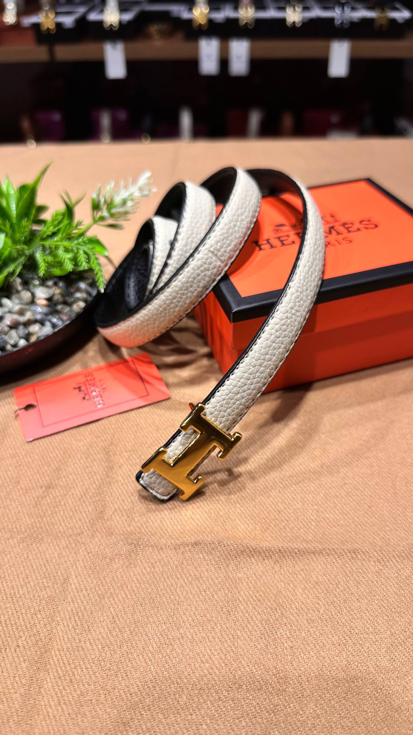 Hermes B1113