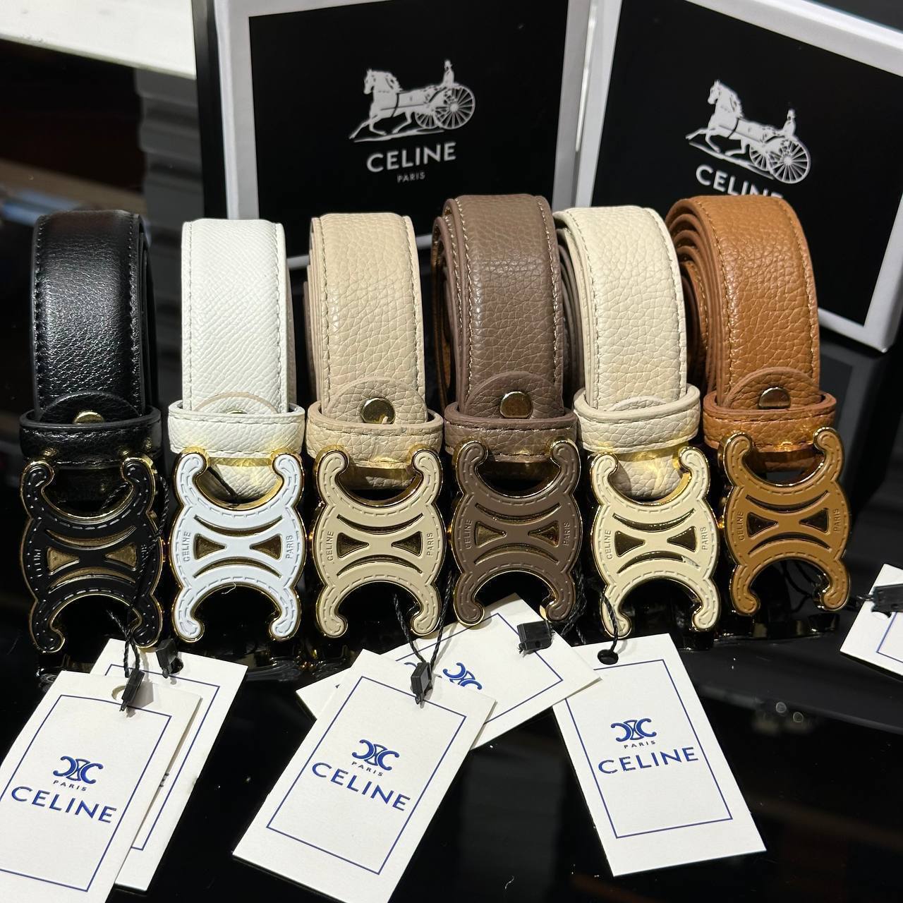 Celine B6741