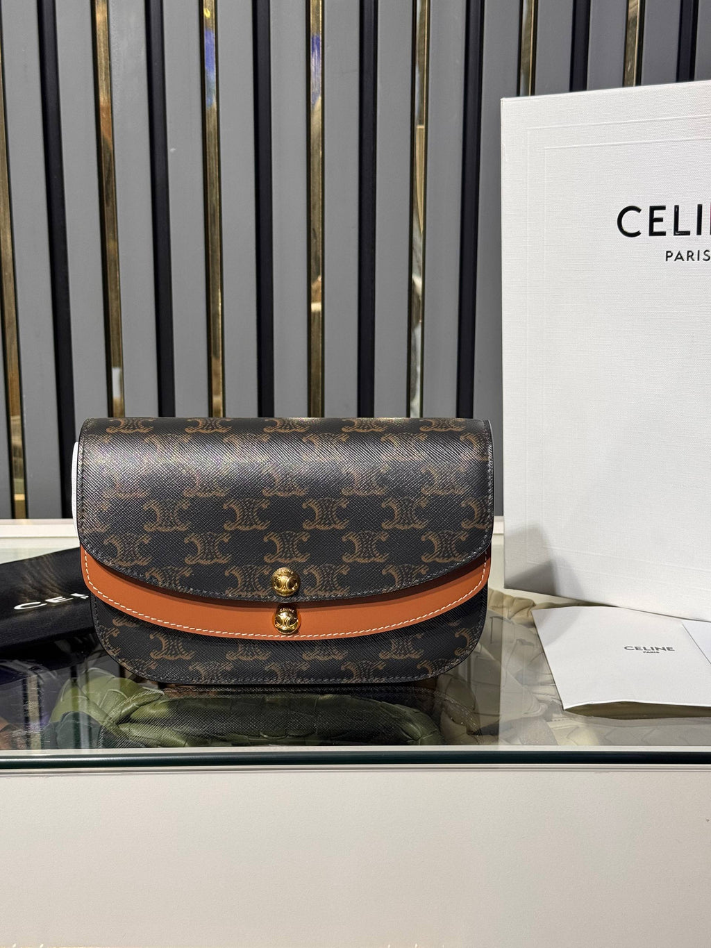 Celine 2569