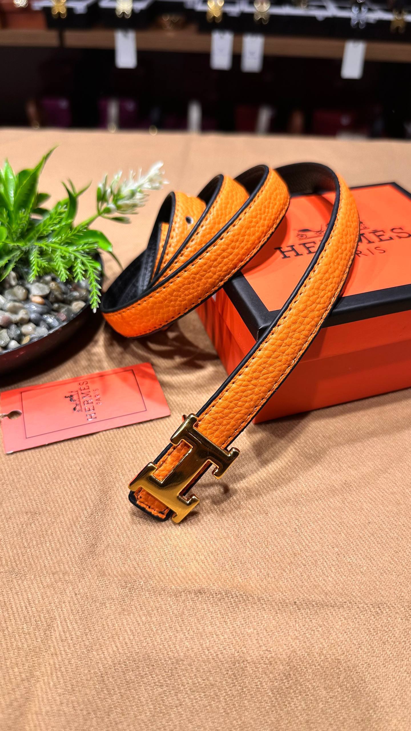 Hermes B1113